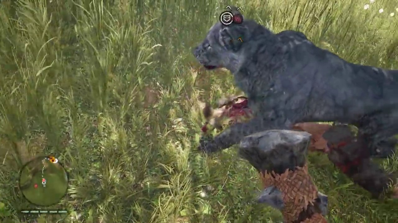 Panthera Leo Atrox, the 'American Lion' - an ICE AGE SUPER PREDATOR