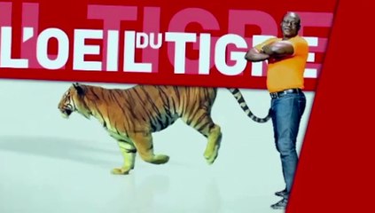 REPLAY - RESUME COMBAT dans L' oeil du Tigre du 24 Janvier 2017