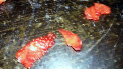 Como Plantar Morango  ( Simples e Fácil)