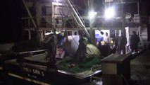 Karadeniz'de Balıkçıların Ağına Köpek Balığı Takıldı