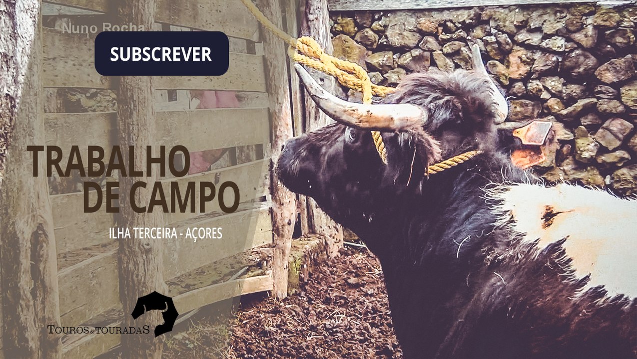 TRABALHO DE CAMPO