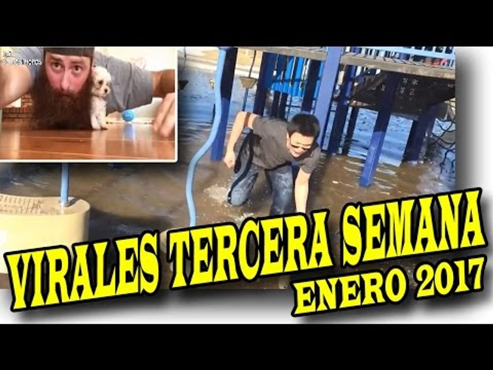 VIRALES Y FAILS MAS VISTOS DE LA TERCERA SEMANA DE ENERO 2017 nuevo