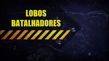 PRIMEIRA INTRO DO CANAL !!!