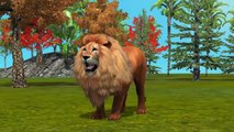 Lion Animal 3D Animated Finger Family Rhymes | Top 10 Finger Family Rhymes