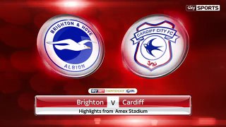 Brighton vs Cardiff City 1-0 All Goals & Highlights HD 24.01.2017
