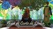 Guia Corte de Lenha - Guias de Guilenor [RuneScape]