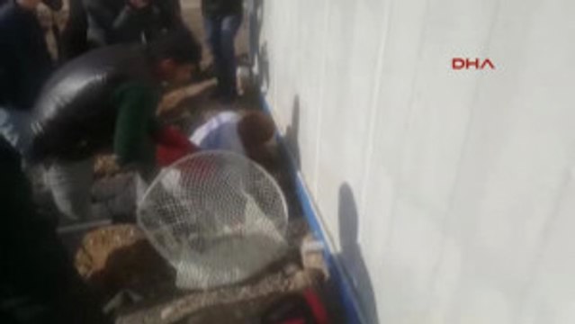 Adana Konteynır Altına Sıkışan Kediyi Belediye Ekipleri Kurtardı