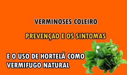 COLEIRO COM SINTOMAS DE VERMINOSES