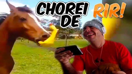 DESAFIO TENTE NÃO RIR - EXTREME