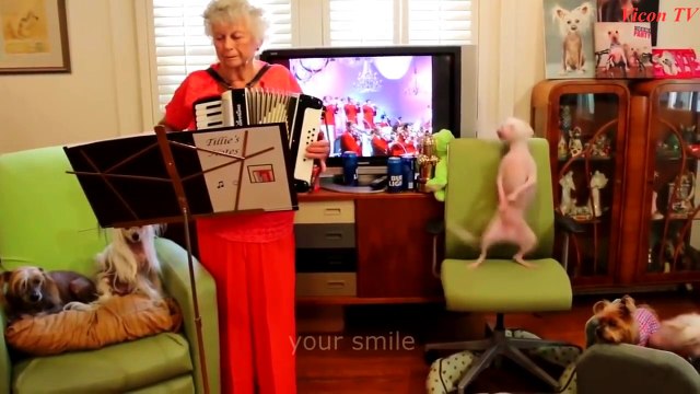 Самые крутые приколы за весь 2016 год!