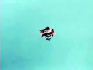 Uma Dadiva Dos Ninjas