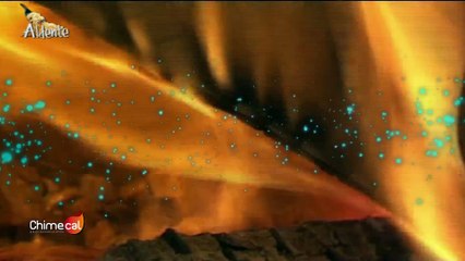 REPORTAJE CHIMECAL CHIMENEAS NAVIDADES 2016 - 17