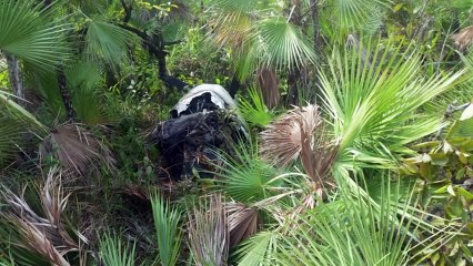 Encuentran avioneta calcinada en la Mosquitia