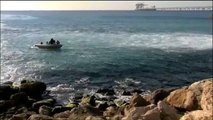 Une concentration de requins dans les eaux israéliennes