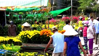 Đi chợ hoa xuân ở làng quê miền tây, Tt Tri Tôn, An Giang 2017