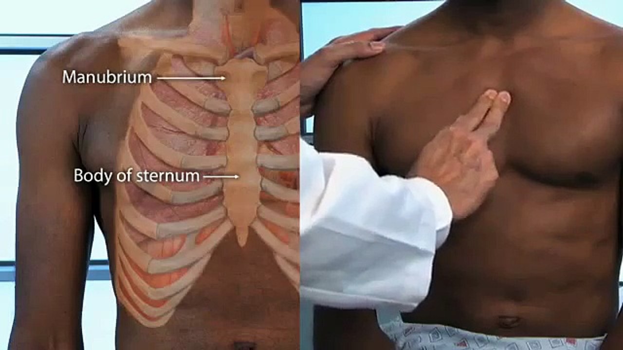 Macleod's Physical Examination Of Thorax and Lung - OSCE Guide 2017
