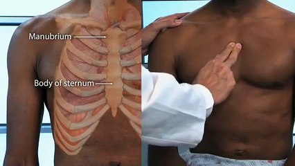 Macleod's Physical Examination Of Thorax and Lung - OSCE Guide 2017