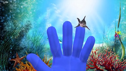 Descargar video: Finger Family Rhymes Rhino Elephant Dinosaurs | Sharks King Kong Sea Animals Kangaroo Finger Family