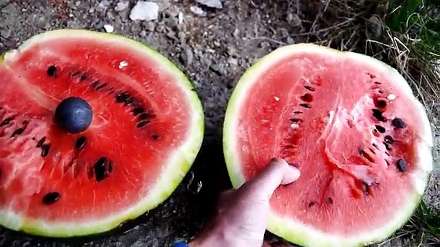 АРБУЗ ДОЛГО КРИЧАЛ ЧТО ОН НЕ ХОТЕЛ УМИРАТЬ - РАСКАЛЁННЫЙ ШАР СДЕЛАЛ СВОЁ ДЕЛО