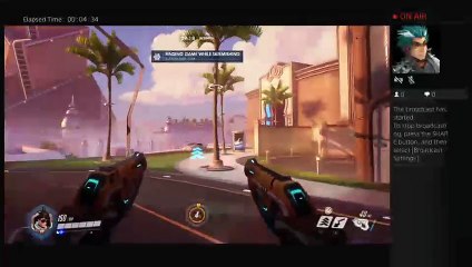 Overwatch year of the rooster (2)