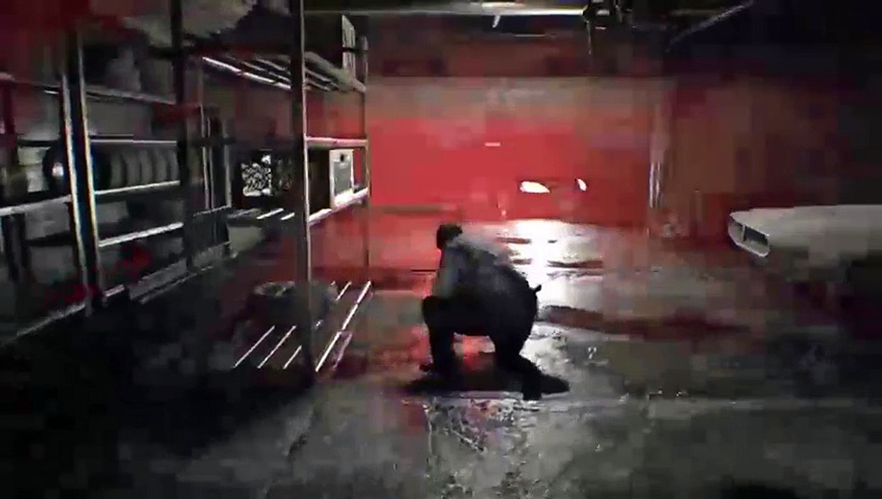 Resident evil 7 (24)