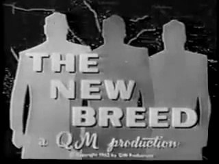 THE NEW BREED - So Dark The Night