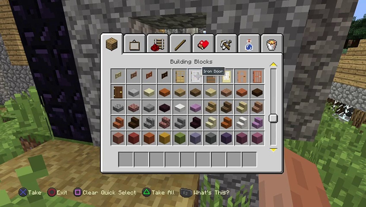 Minecraft (45)