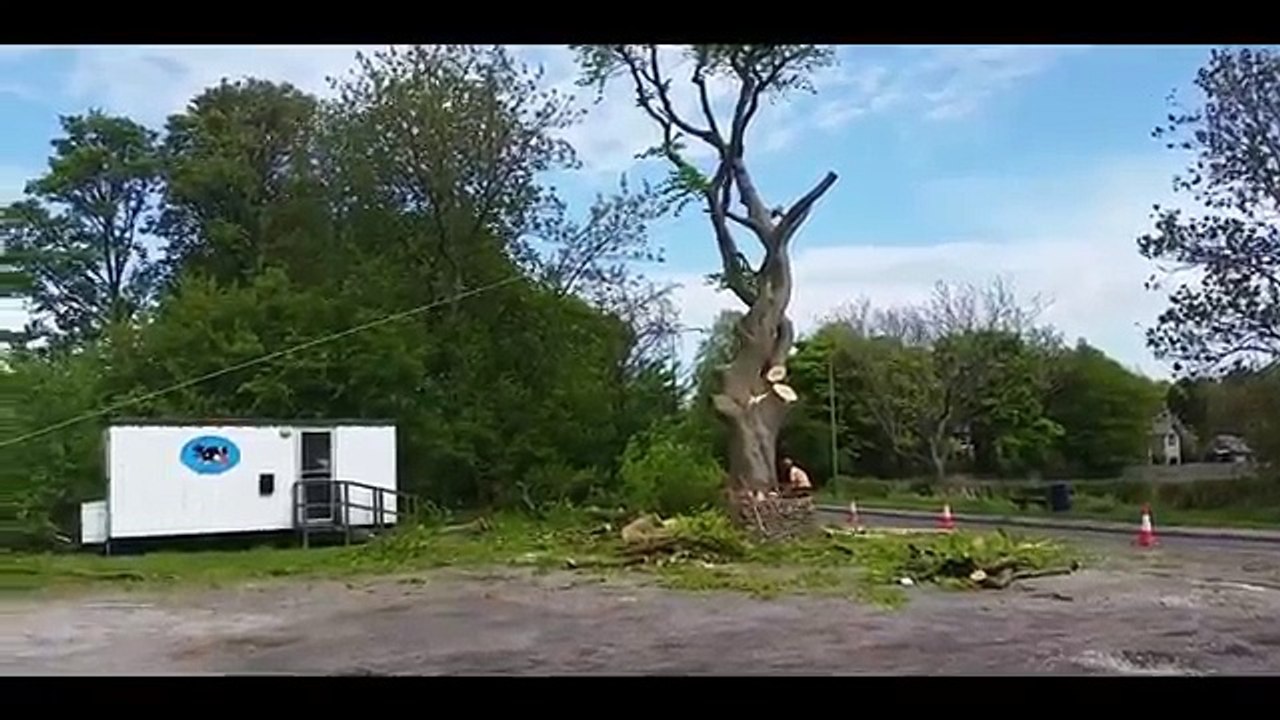 Fail Compilation #16 Best fails of the Week Funny Fails, jump, fall and crashes