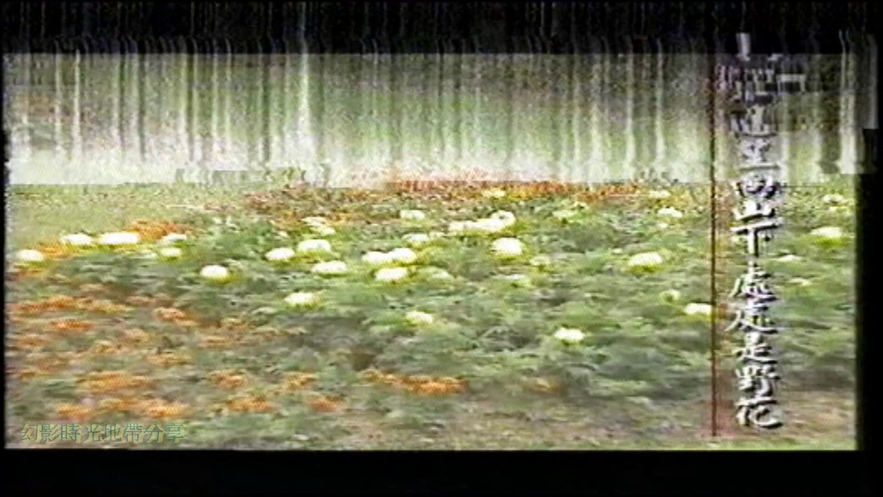 胡越山-背起書包的日子MV