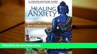 Audiobook  Healing Anxiety: A Tibetan Medicine Guide to Healing Anxiety, Stress and PTSD Mary Ryan