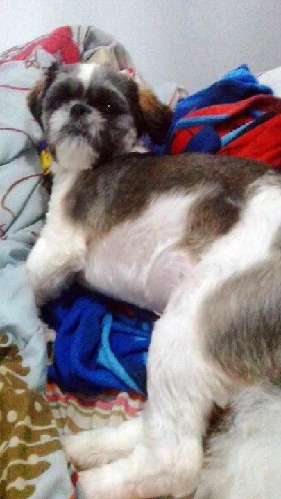 Teu Morrendo De Sono