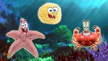 SpongeBob SquarePants Finger Family Song | Nursery Rhymes COLLECTION Real Life for kids
