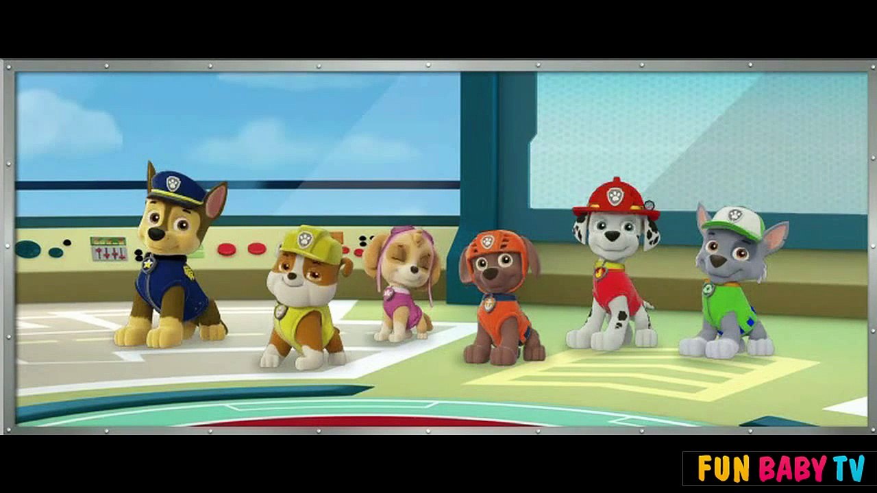 Paw Patrol Pups Save the Day - Kids Video
