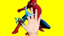 Frozen Elsa Hulk and Spiderman Finger Family song for kids collection Nursery Rhymes lyrics
