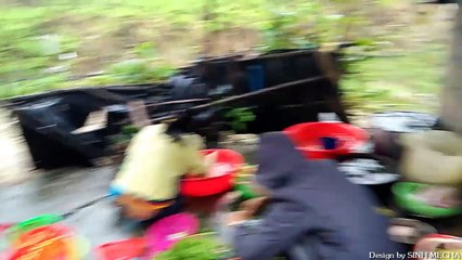 TẤT NIÊN - TẾT ĐINH DẬU 2017