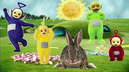 Finger Family Song TELETUBBIES Nursery Rhymes for Children Cartoon Animation Cookie Tv Video