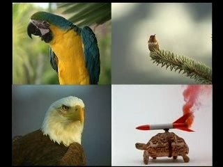 Buon Viaggio con MiniCLub