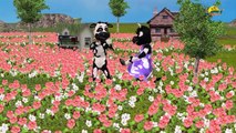 cow V/S bear Finger Family Nursery Children 3d English Rhymes | Cartoon Animals