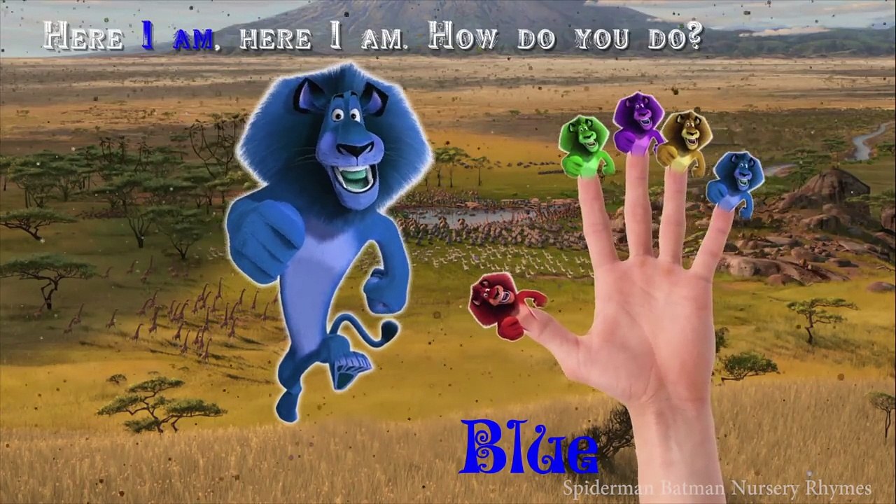 Alex the Lion Finger Family Nursery Rhymes Songs | Madagascar Alex Learning Colors for Children