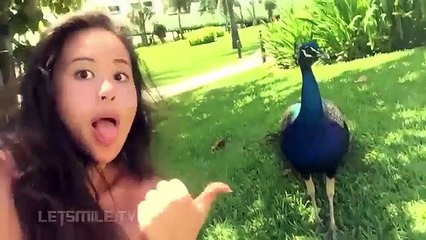 funny videos stupid ✓ People Doing Stupid Things P3