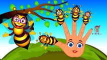 Honey Bee Finger Family | Daddy Finger Family Songs | Honey Bee Cartoon Animation Rhymes for Kids