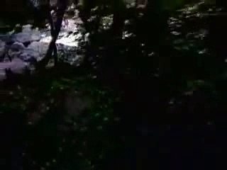 생방송바카라정보ご／／ ＧＭ５５４。COM  ／／し대박카지노