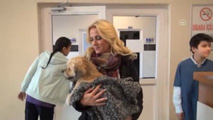 Köpeğe Bel Fıtığı Ameliyatı Yapıldı - Burdur