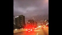 Des milliers d'oiseaux survolent la ville de Houston !