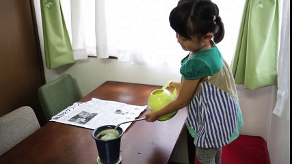 Ce quotidien japonais est réellement écologique. Il fleurit lorsqu’on le plante !