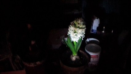 théories et chaos, échos