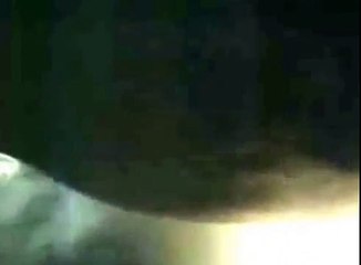 Megalodon Caught on Camera