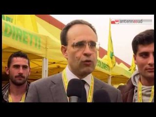 TGSRVgen24 xylella ok rimpianto ulivi