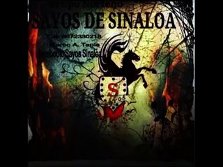 Sayos De Sinaloa Alfredito Beltran 2014