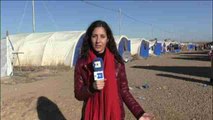 Informe a cámara: Documentos expedidos por el EI añaden dificultades a los desplazados de Mosul